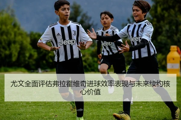 尤文全面评估弗拉霍维奇进球效率表现与未来续约核心价值