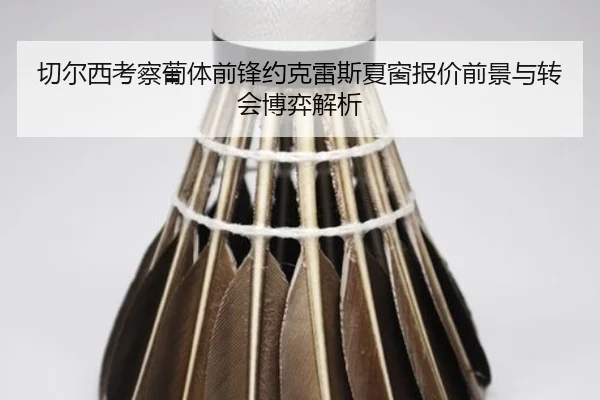 切尔西考察葡体前锋约克雷斯夏窗报价前景与转会博弈解析